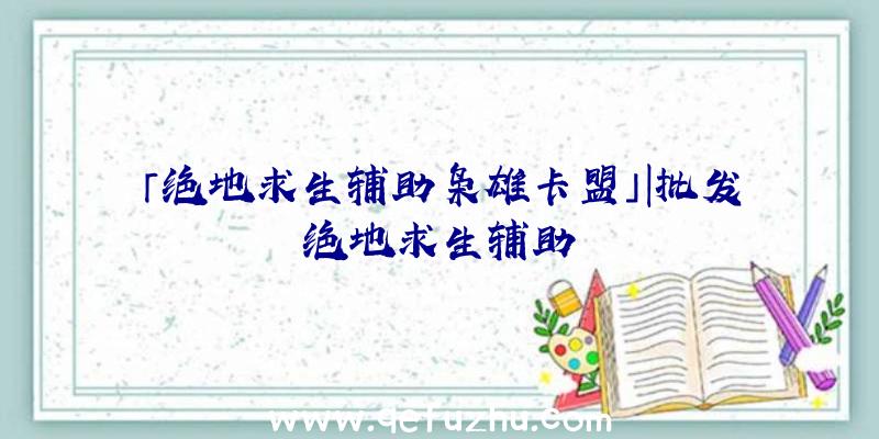 「绝地求生辅助枭雄卡盟」|批发绝地求生辅助